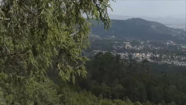 جبل أنطوطو.. أحد أبرز المعالم السياحية في إثيوبيا