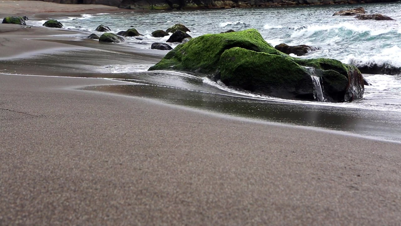 Waves - Dr. Laurence Fendrich