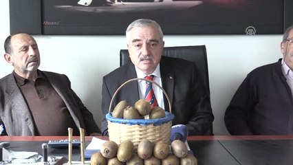 Kivi Satış Fiyatları Belli Oldu