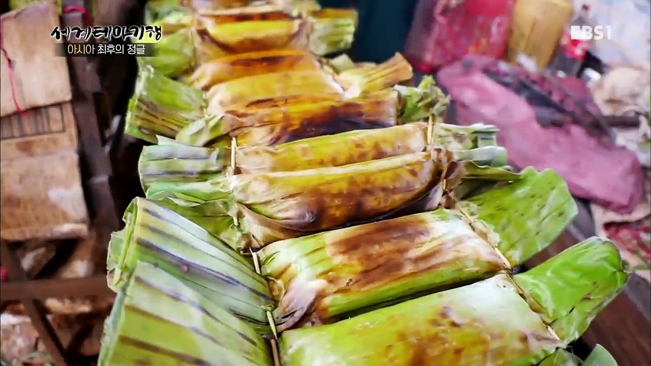 세계테마기행 - 아시아 최후의 정글 4부- 열대 우림 속 숨은 보석_#001