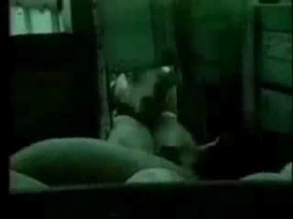 J'accepte le contrat??