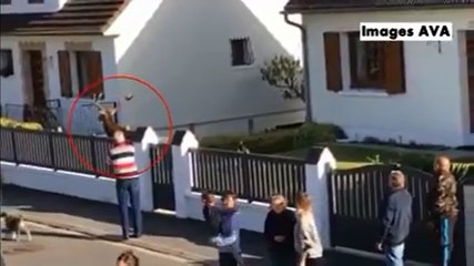 Un chasseur abat un cerf réfugié dans une propriété privée.