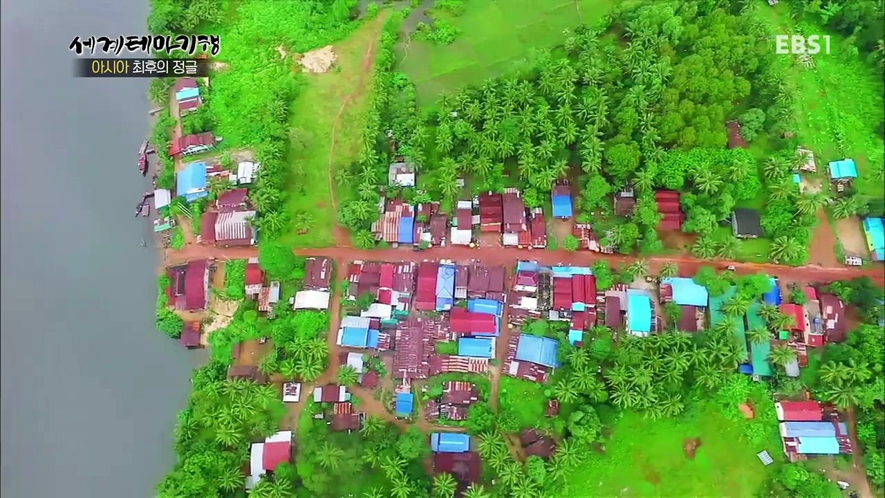 세계테마기행 - 아시아 최후의 정글 4부- 열대 우림 속 숨은 보석_#002