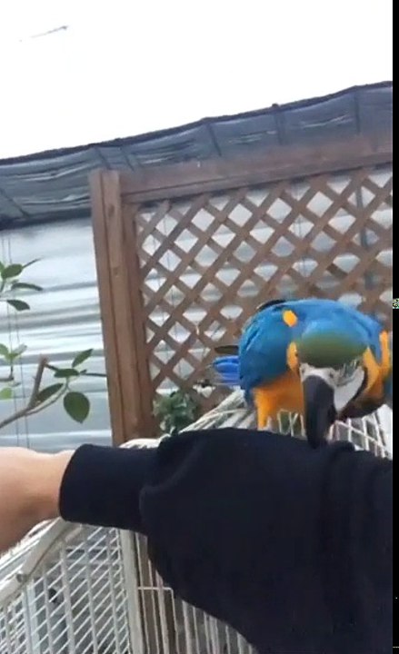 [LeeJungshin IG Live Stories]Update:171025 #JungShin #이정신 #CNBLUE