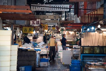 Take a sensory journey starting at Tokyo's world-famous Tsukiji Market