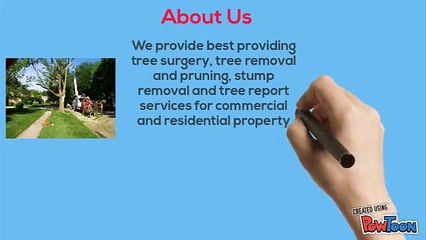 Looking for Professional Arborist in North Shore at Best Price