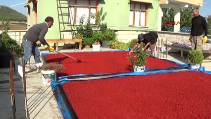 İslahiye'de Organik Tarıma Teşvik