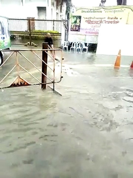 Cet homme attrape un python immense qui nage des les rues inondées de Bangkok