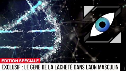 [Zap Télé] Le gène de la lâcheté détecté dans l'ADN masculin ! (25/10/17)