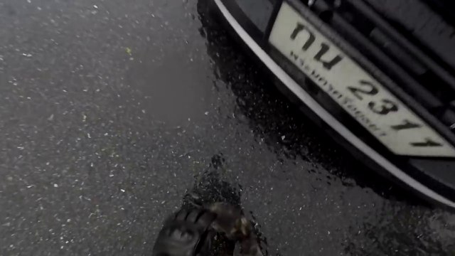 Un motard sauve un chaton de justesse sur la route !
