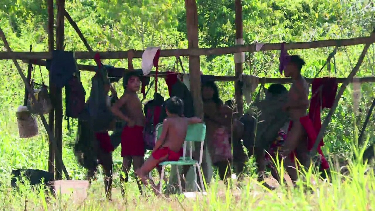 Luta viva