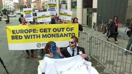 L'UE doit "sortir du lit de Monsanto" pour les anti-glyphosate