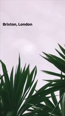 11 Sep 2017 - Adam Anderson via Instagram Story