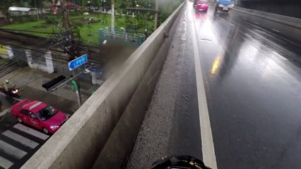 Un motard sauve un chaton terrorisé, bloqué au milieu de la chaussée