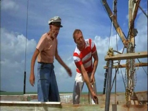 Flipper 1964 S03e15 Flipper And The Fugitive Part 2