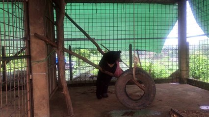 Nyan Htoo joue avant de se faire opérer