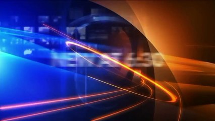 Mama Bear, Cub Seen Wandering the Hallways at California School