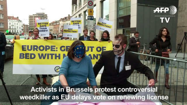 Protesters in Brussels demonstrate against Monsanto