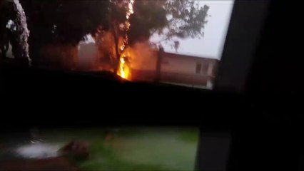 Il se fait foudroyé en pleine orage dans son jardin