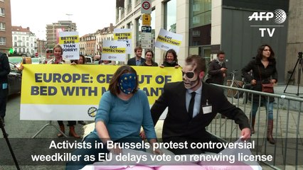 Protesters in Brussels demonstrate against Monsanto