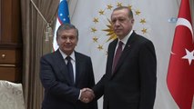Cumhurbaşkanı Erdoğan Özbekistan Cumhurbaşkanı Mirziyoyev ile Görüştü