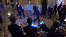 Frank Thorp V - Video_ Protester posing as journalist throws papers at Trump as he arrives for Senate GOP lunch yelling