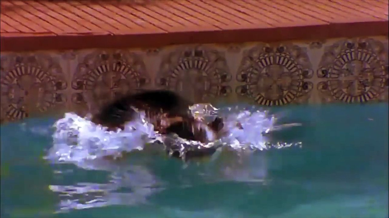 Juhi Chawla in swimsuit