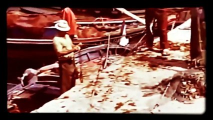 ESTEPONA EN EL RECUERDO - EL NODO - COSTA DEL SOL - MALAGA