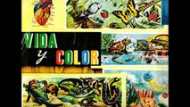VIDA Y COLOR - ALBUM DE CROMOS -VINTAGE