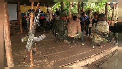 Колумбия: повстанцы-диссиденты