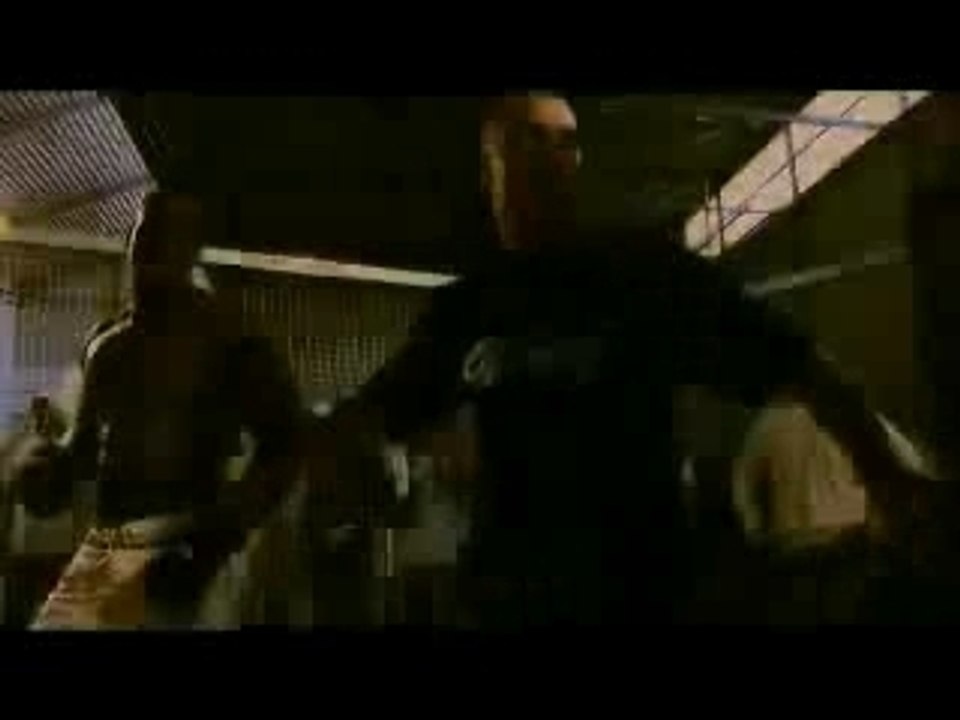 Kamel-Danse De Guerrier