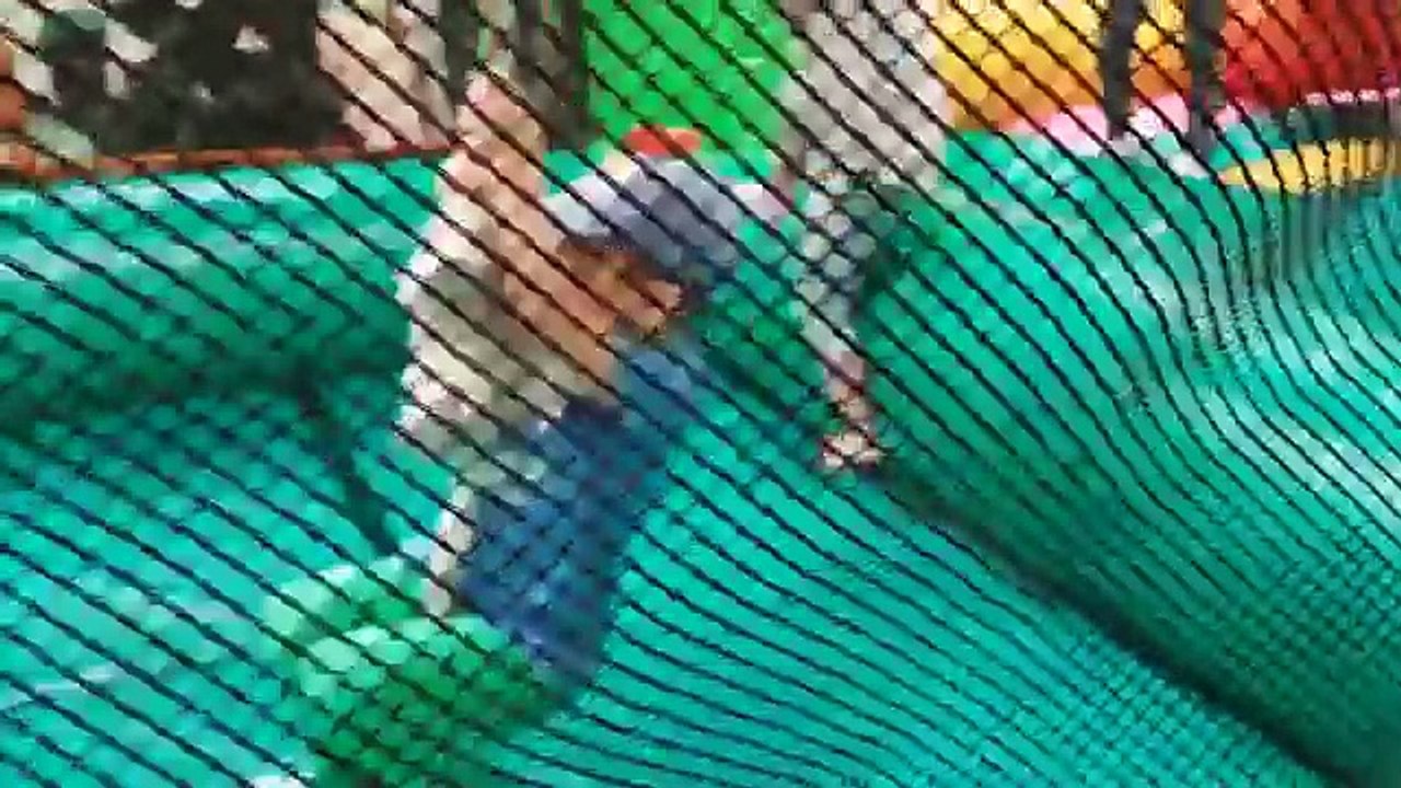 Playgrounds for kids. Video compilation from KIDS TOYS CHANNEL