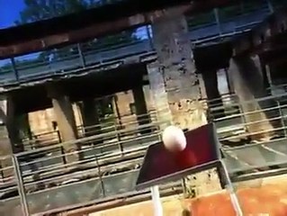 Chickens Production ♥