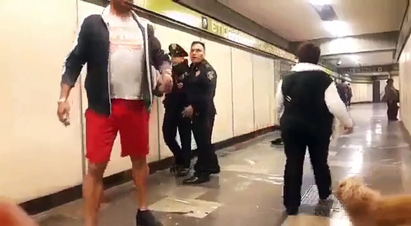 LORDPERRITO METRO