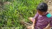 Wow! Brave Sisters Catch Many Snakes While Digging Hole - How To Catch Snakes by Little Gi