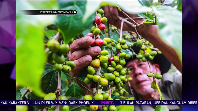 Chicco Jerikho Akan Sumbangkan Hasil Penjualan Tiket Filosofi Kopi 2 Ke Petasi Kopi