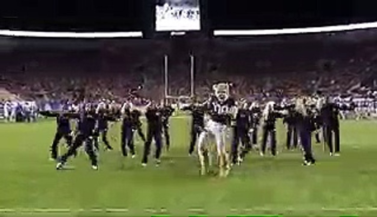 La mascotte d'une équipe de foot US vole la vedette aux pom-pom girls