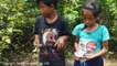 Amazing Smart Brother And Sister Catch Tree Snakes With Traps in Jungle - How To Trap Snak