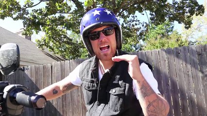New Softail vs Dyna / Harley-Davidson