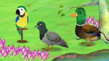Animal Sounds Song - Animal Sounds for Children to Learn