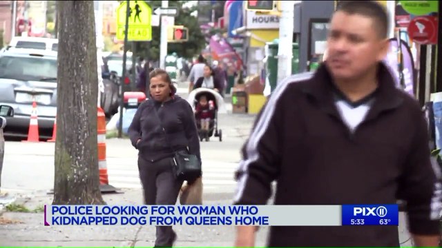 Video Shows Suspect Smiling While Stealing Woman's Dog from Yard