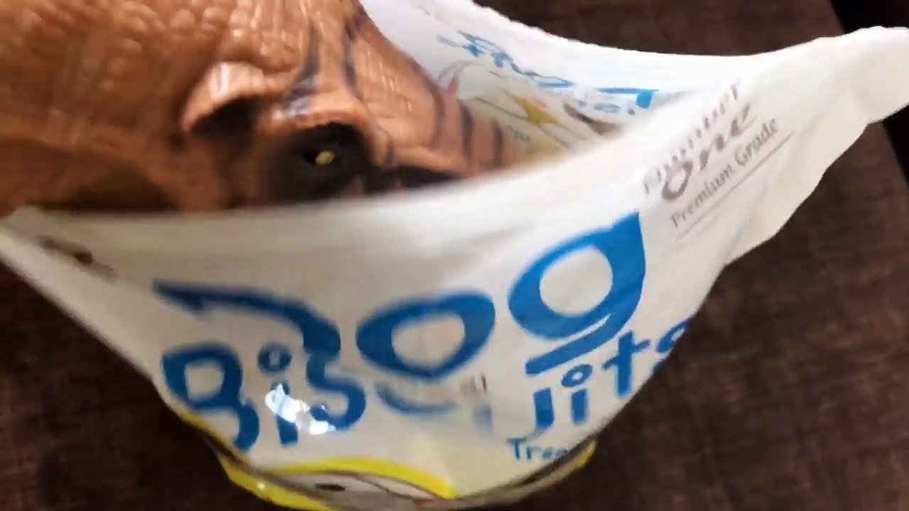 DOG ANNOYED of our pet dinosaur-S7yIgqHEokg