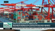 Reaparecen diferencias económicas entre países miembros del Mercosur