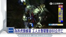 為拆虎頭蜂窩　工人太魯閣墜谷60公尺亡｜三立新聞台