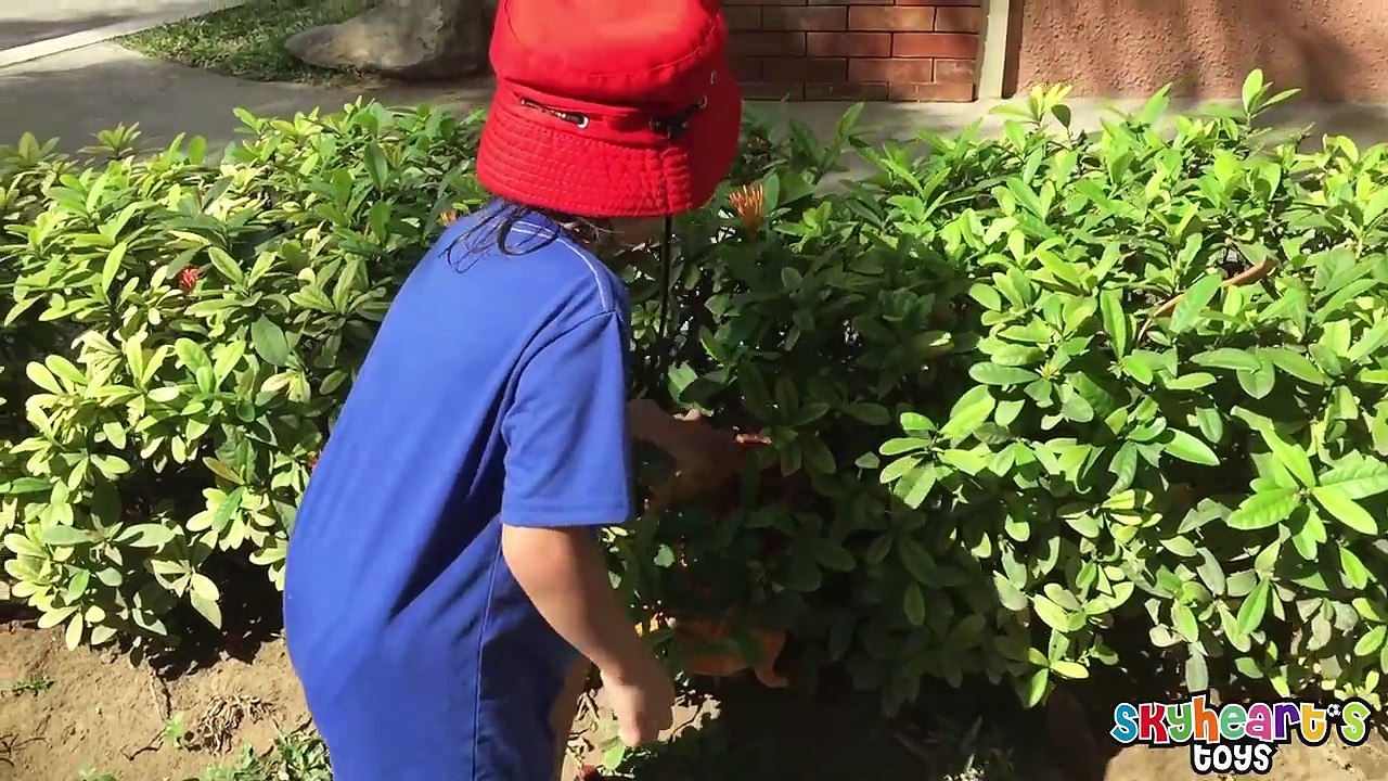 Toddler found a Baby Lion in the Park! ----- Animal Training Stuffed Kokum the Lion toys for kids-158DXb-S3zE