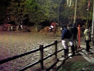 match paddock polo II