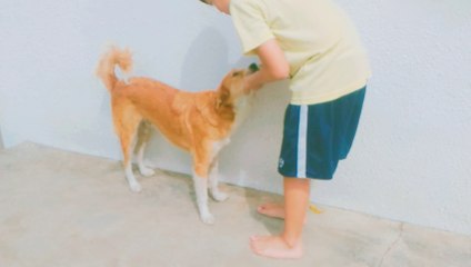 Cupcakes N' Musics - Helping To Each Others