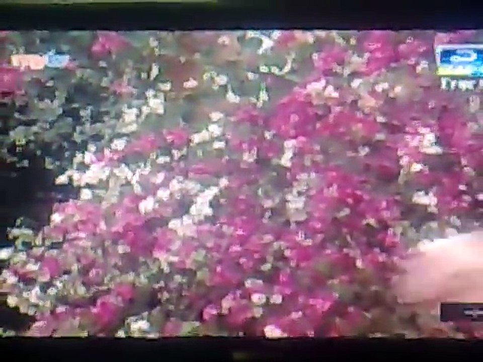 Quê hương việt nam - sơn tùng Mt-p rap