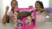 Bad Kids & Lots of Squishy Toys! Squish Dee Lish Toys Review Children Fun Toys To See-tSkkVOEFxqk
