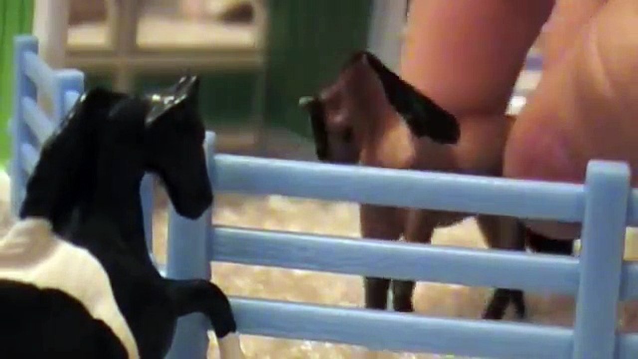 Birth of a New Foal - Jenna Foaling Breyer Mini Whinnies Horses Movie Part 0